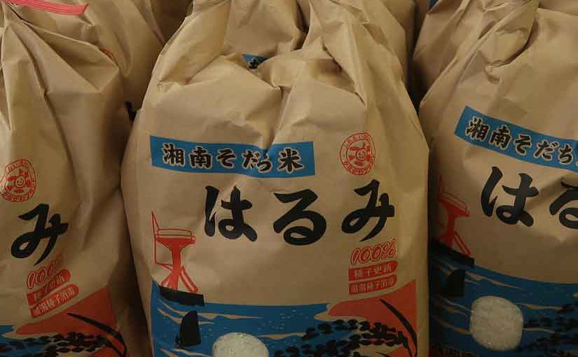 平塚の美味しいお米「はるみ」！！